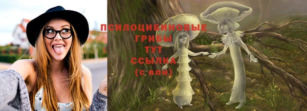 амф Алексин